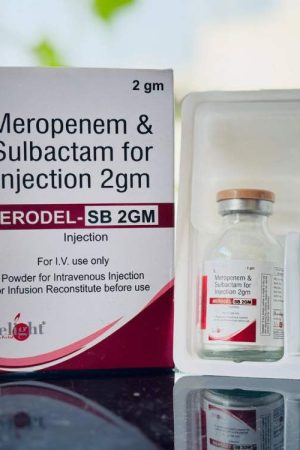 MERODEL®-SB 2gm Injection